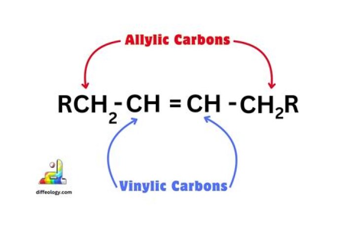 Allylic Alcohol: A Comprehensive Guide To Its Properties And Applications