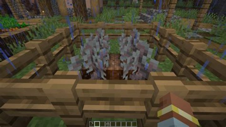 Best Guide To Oak Sapling In OSRS