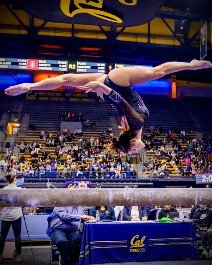 Discover The Excitement Of Porsche Trinidad Gymnastics