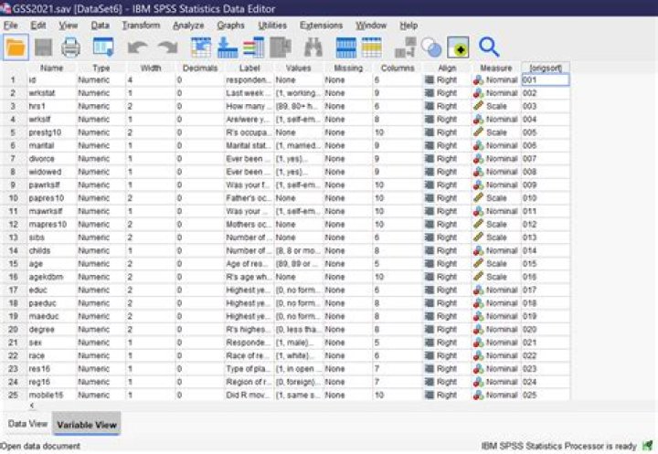 Enhance Your SPSS Data Analysis: A Guide To Recoding Variables