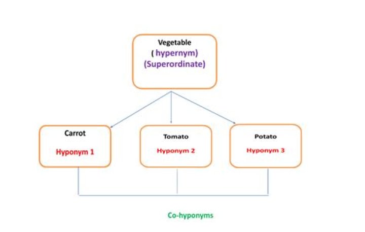 Essential Guide To Hyponymy And Hypernymy: Understanding Keyword Relationships