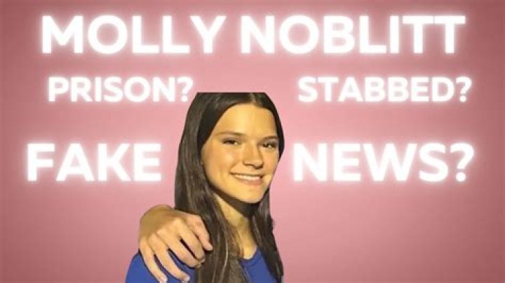 Everything You Need To Know About Molly Norbitt