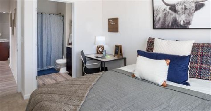 Fort Collins Student Apartments: Find Your Ideal Off-Campus Housing