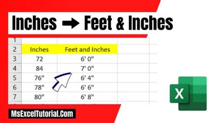 How Tall DDG Is In Feet: Quick Facts And Measurements