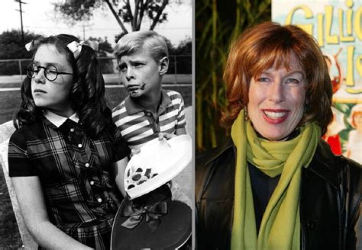Jay North: The Child Star's Journey From "Dennis The Menace" To Hollywood