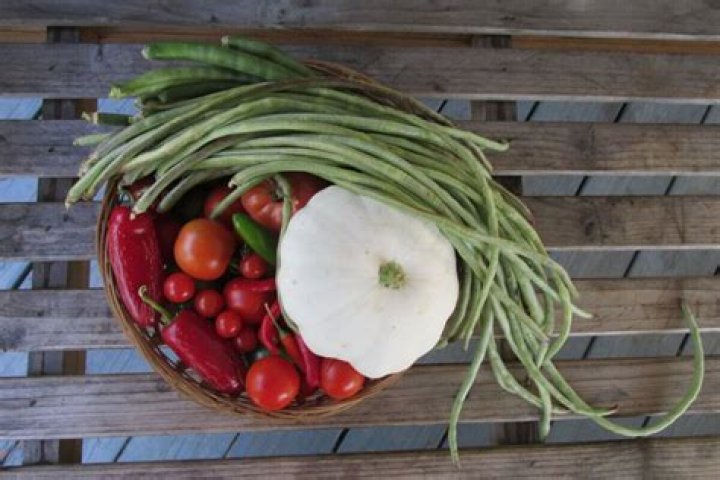 Lil Pnut: The Ultimate Guide To Growing And Cooking This Delicious Legume
