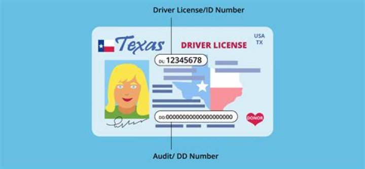Locate Your License Number: A Comprehensive Guide