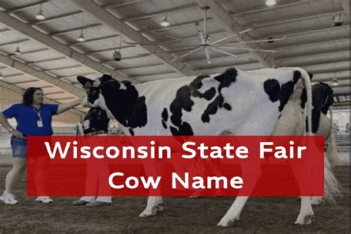 Offensive Cow Name Sparks Controversy At Wisconsin State Fair
