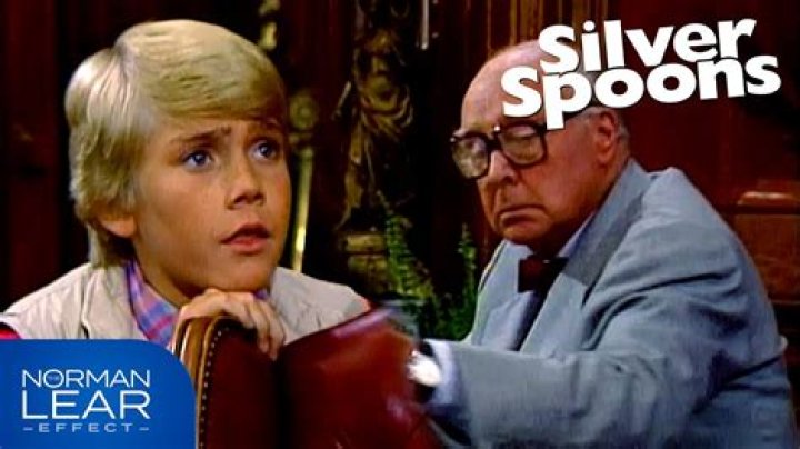 Ricky Schroeder Shines In 'Silver Spoons': A Nostalgic Look Back