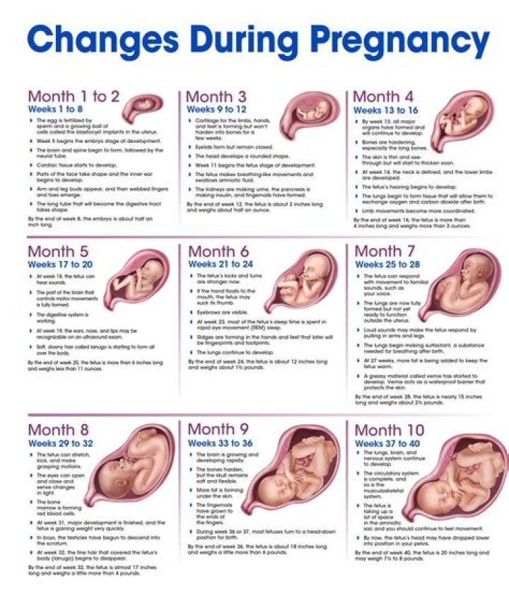 Rihanna's Pregnancy Journey: Unveiling The Due Date
