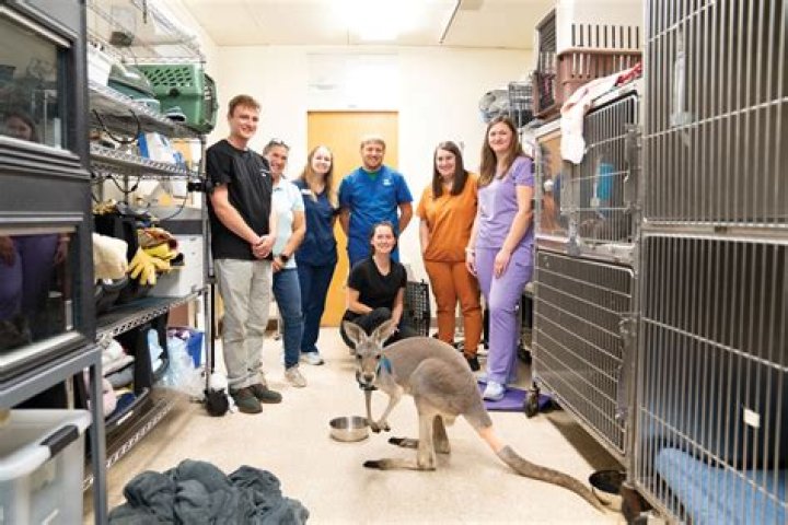 Smitten On The Spectrum: A Zoological Rendezvous