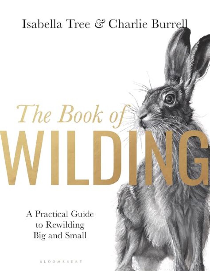 The Complete Guide To Michael Wilding: Life, Career, And Legacy