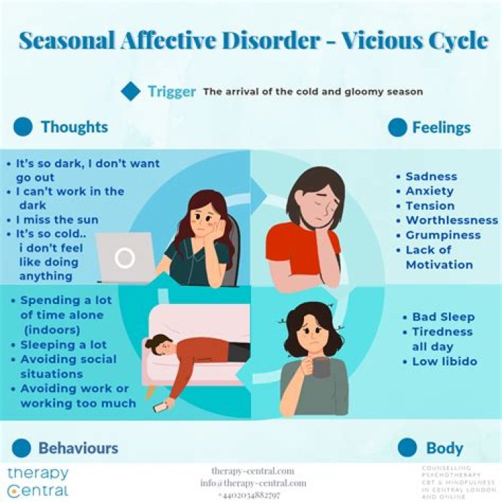 The DSM-V And The Diagnosis Of Seasonal Affective Disorder