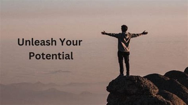 The Ultimate Guide To Husky Harris Nexus: Unleash Your Full Potential