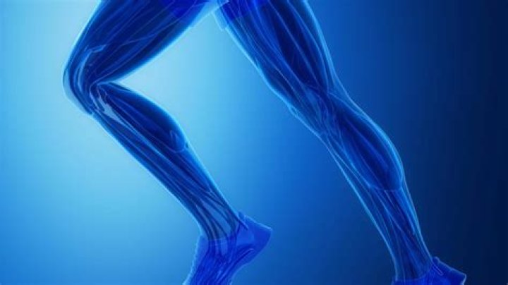 The Ultimate Guide To Leg Proportions: Achieving Perfect Symmetry