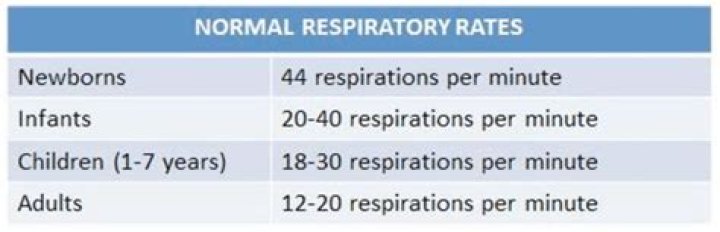 The Ultimate Guide: Understanding The Normal Respiratory Rate For Newborns