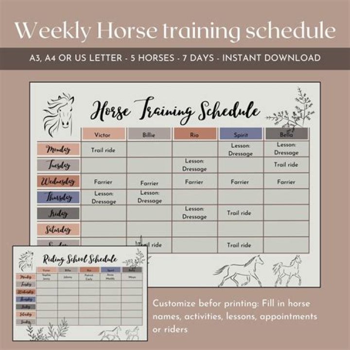 The Upcoming 2024 Black Trail Riding Schedule