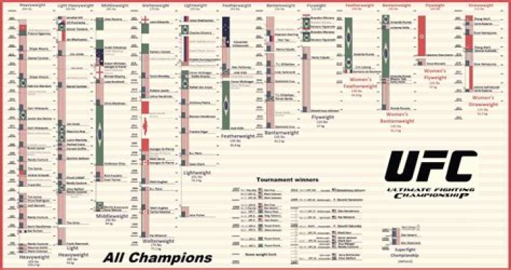 UFC 293 Price: How Much Does It Cost To Attend?