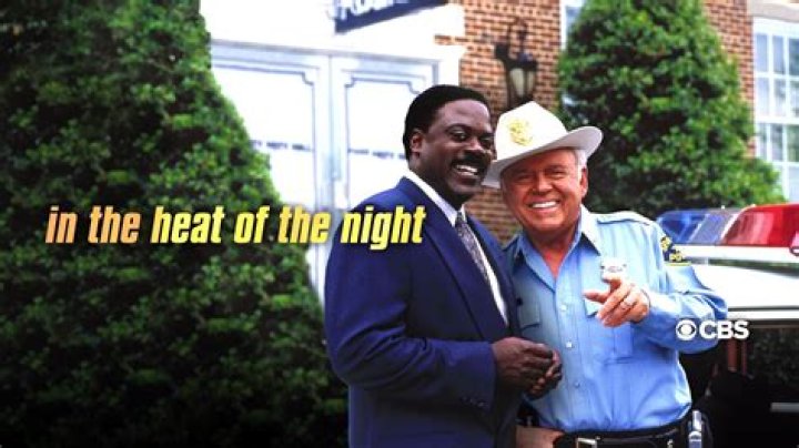 Ultimate Guide To The Cast Of "In The Heat Of The Night" TV Show