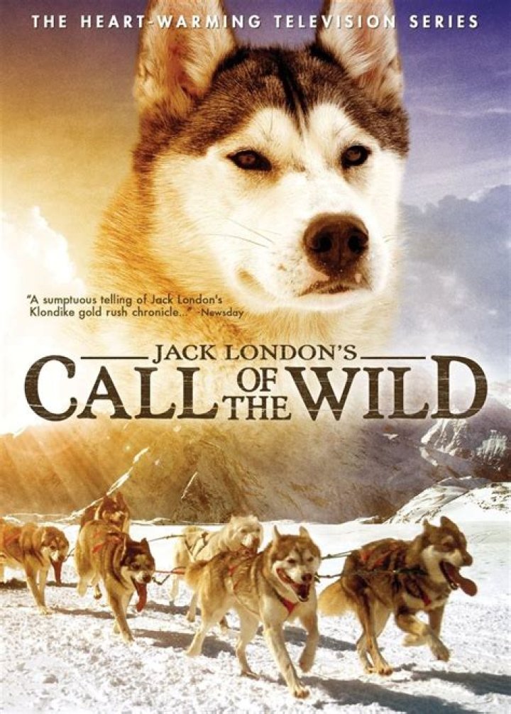 Uncover The Wild Romance Of "Love In The Wild Season 1"