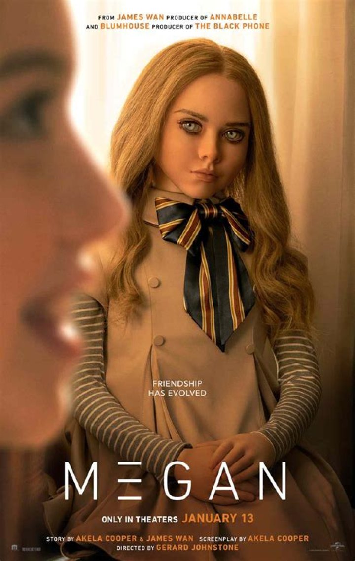 Unveiling The Chilling Reality: Uncover The Missing Images Of Megan