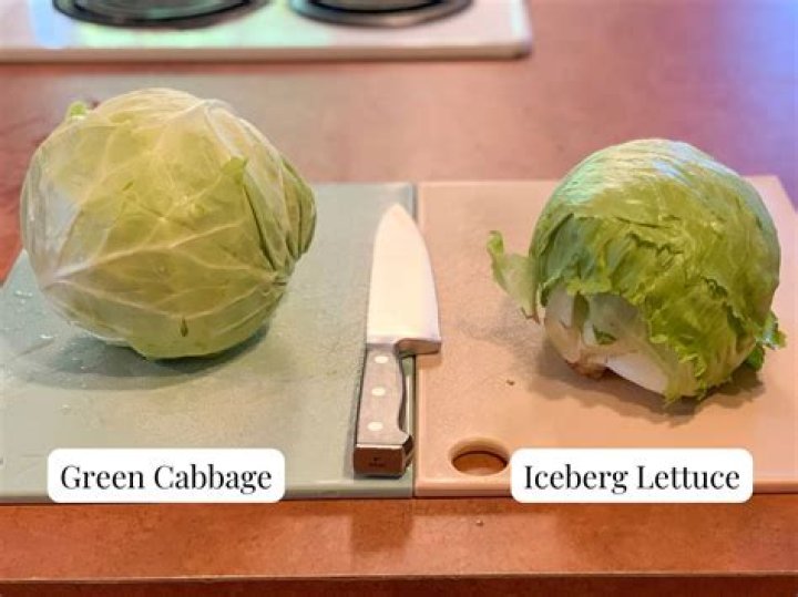 Unveiling The Distinctive Differences: Green Vs. Purple Cabbage