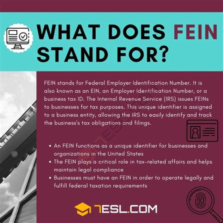 Unveiling Travis's Fein Features: A Comprehensive Guide