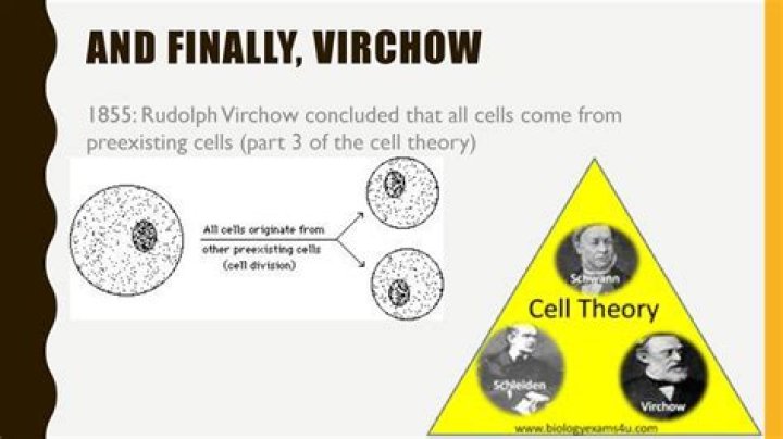 What You Need To Know About Swollen Virchow's Nodes