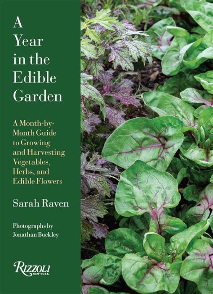 Zelina Veg: The Ultimate Guide To Growing And Using This Versatile Plant